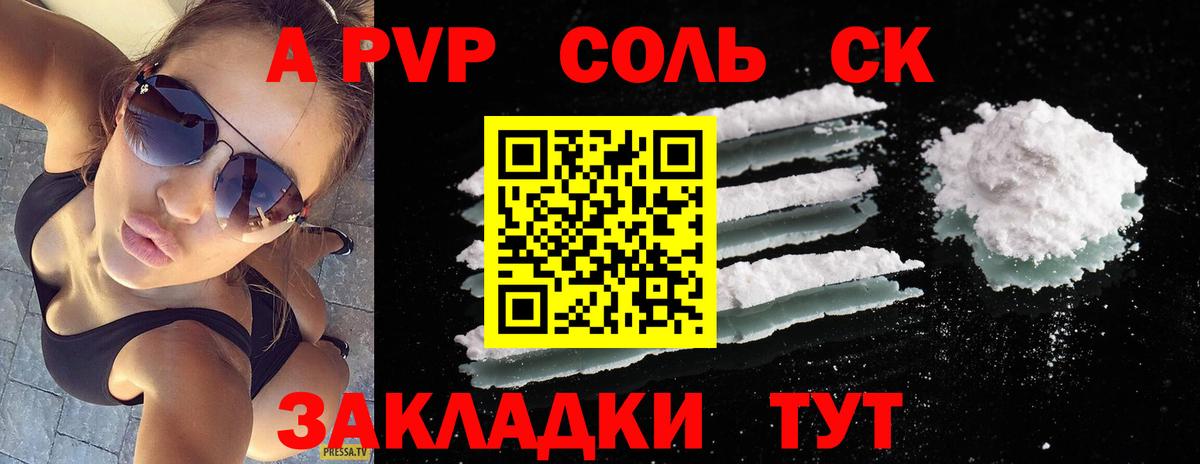 Альфа ПВП СК Кингисепп