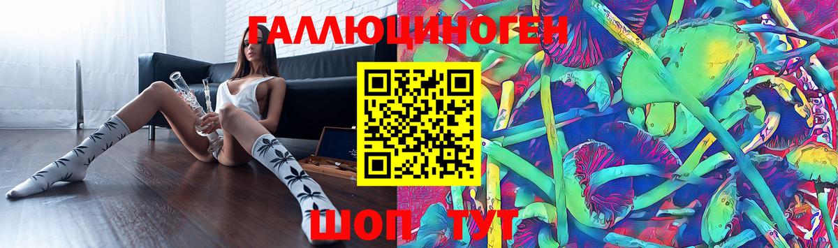Псилоцибиновые грибы Magic Shrooms  Вход с VPN  Кингисепп 